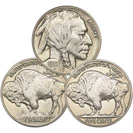 first year type set of uncirculated buffalo nickels BNT a Main
