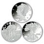 americas most beautiful coins two ounce silver proofs MSW b Coins