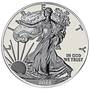 The Ultimate American Eagle Silver Dollar Collection 1986 2016 EUC 3
