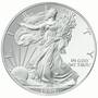 The Ultimate American Eagle Silver Dollar Collection 1986 2016 EUC 2