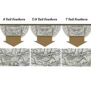 1878 morgan silver dollar tail feather set TFC b Callouts