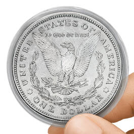 complete us morgan silver dollar mint collection MCR d Capsule