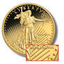 roman numeral american eagle proof gold coin GEP c Coin