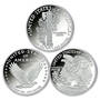 americas most beautiful coins two ounce silver proofs MSW d Coins