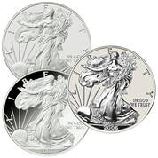 american eagle silver dollar 20th anniversary set ETA a Main