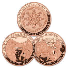 legacy of the sioux nation copper coin collection CCN b Coins