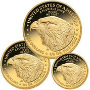 2024 gold american eagle proof coin set GF4 b Coins