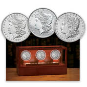 three centuries of uncirculated morgan silver dollars TMO a Main