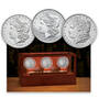 three centuries of uncirculated morgan silver dollars TMO a Main