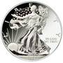 The Ultimate American Eagle Silver Dollar Collection 1986 2016 EUC 5