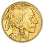 2026 early issue uncirculated american buffalo gold GB6 d Coin69
