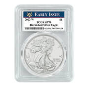 2022 burnished flying american eagle silver dollars E22 a Main
