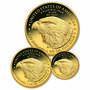 2026 gold american eagle proof coin set GF6 b Coins70