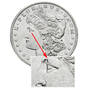 rarely seen morgan silver dollars ODD b Insert