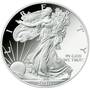 The Ultimate American Eagle Silver Dollar Collection 1986 2016 EUC 6